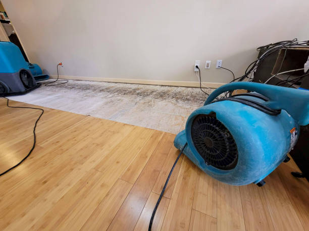 Professional Water Removal technician working in Mukilteo, WA